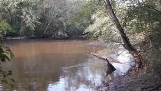 thumbnail_IMG_3356
