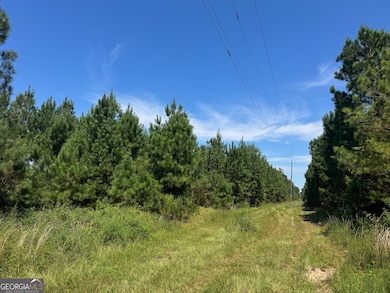 001 Cleghorn Dr, Tallassee, AL 36078 - photo 4