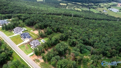 49 Watson Grande Way SE, Owens Cross Roads, AL 35763 - photo 7