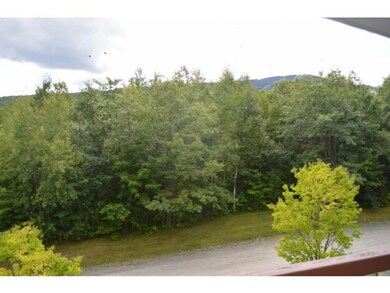 D Snowtree Lane Oaks unit D, Dover, VT 05356 - photo 7