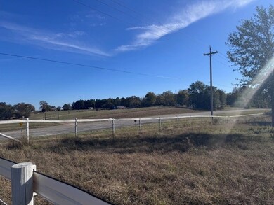 View of yard featuring a rural view