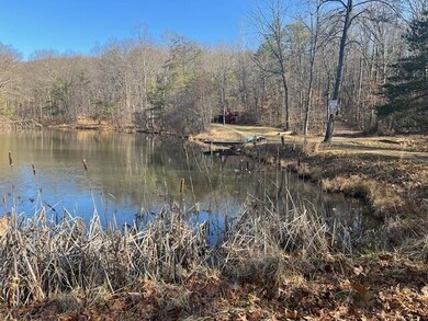 Stump Run Pond-3