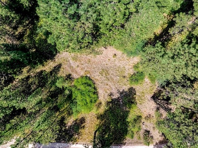 Aerial view of property's location