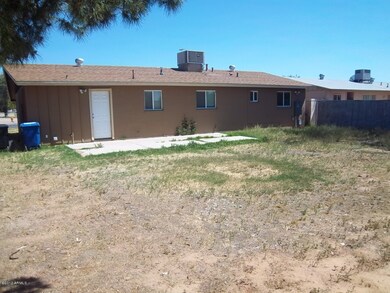 Back Yard 2