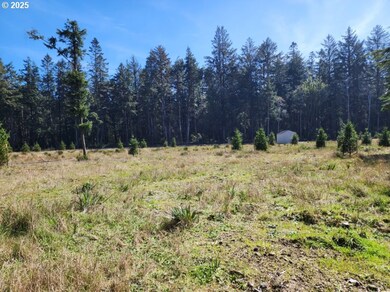 0 Hubbard Ln unit 3 780791373, Portorford, OR 97465 - photo 6