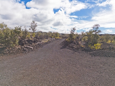 92-8961 Lauhala Dr, Ocean View, HI 96704 - photo 5