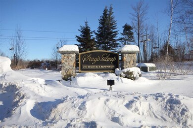 17 Stag's Leap Ln, Wilmington, VT 05363 - photo 5