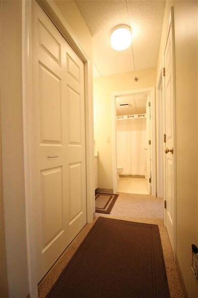 28 Packard Rd S unit 316, Waterville Valley, NH 03215 - photo 7