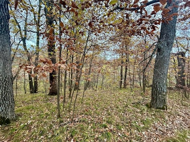 TBD E Lake Lizzie Rd, Pelican Rapids, MN 56572 - photo 7