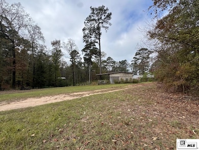 595 Swiftwater Ln unit 116 Spruce LANE, Farmerville, LA 71241 - photo 6