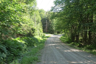 00 Forest Rd S, Ludlow, VT 05149 - photo 3