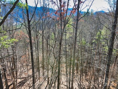 TBD Rockinghorse Trail unit Tract 2, Burnsville, NC 28714 - photo 2