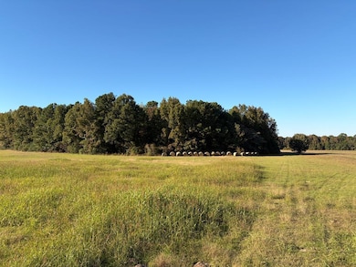 TBD E Redcut Rd, Fouke, AR 71837 - photo 2