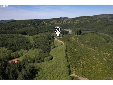 0 Conyers Creek unit 208773965, Clatskanie, OR 97016 - photo 7