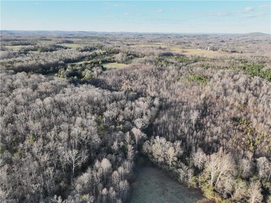 0 Old Bachelor Creek Rd, Seagrove, NC 27341 - photo 4