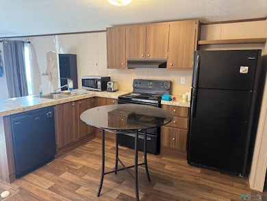 1716 N Canal Street #13 St, Carlsbad, NM 88220 - photo 7