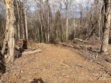 1638 Continental Divide Dr unit 1, Flat Rock, NC 28731 - photo 2