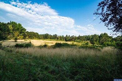 8390 Blanchard Rd, Sheridan, OR 97378 - photo 5
