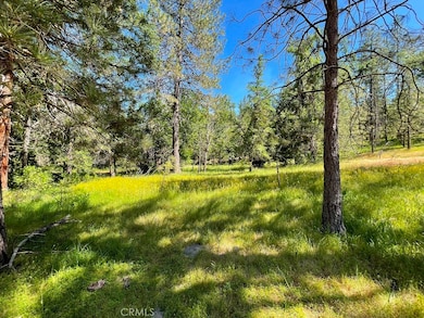 0 Triangle Rd unit MP24174683, Mariposa, CA 95338 - photo 7