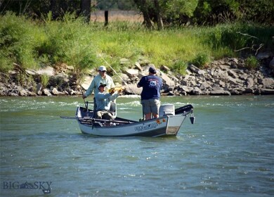 Blue Ribbon Trout river