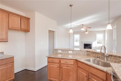 9991 Canvassback Pass Ct, Mechanicsville, VA 23116 - photo 6