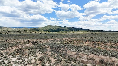 0 W1 2se1 4 Sec 25 unit 1088914, Regina, NM 87046 - photo 4