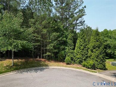 16151 Founders Bridge Terrace, Midlothian, VA 23113 - photo 2