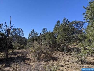 4775 N Swan St, Silver City, NM 88061 - photo 3