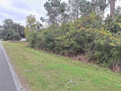 203 Crescent Lake Shore Dr, Crescent City, FL 32112 - photo 2