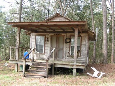 00 Toby Trail, Red Level, AL 36467 - photo 2