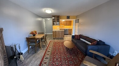 390 Broadway unit 24, Somerville, MA 02145 - photo 4