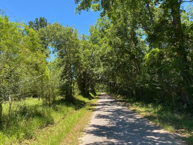 00 Spooner Rd, Lucedale, MS 39452 - photo 2