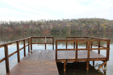 6932 Henderson Rd, Lowndesboro, AL 36752 - photo 3