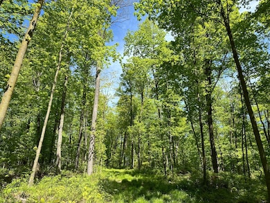 100AC ON 28th Ave N, Merrill, WI 54452 - photo 4