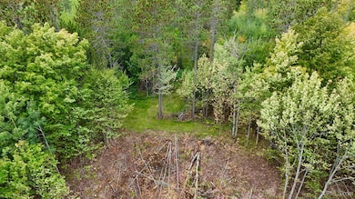 TBD19 Norwich Rd, Ontonagon, MI 49953 - photo 4