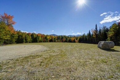 00 McKenzie Woods unit Lot 10, Franconia, NH 03580 - photo 6