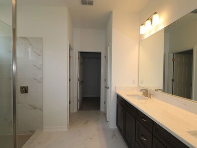 Owner's Bathroom