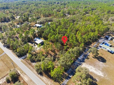 0 SW 178th Terrace unit MFRTB8455648, Dunnellon, FL 34432 - photo 3