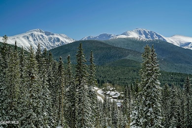 40 Cub Creek Way Lot 2, Winter Park, CO 80482 - photo 5