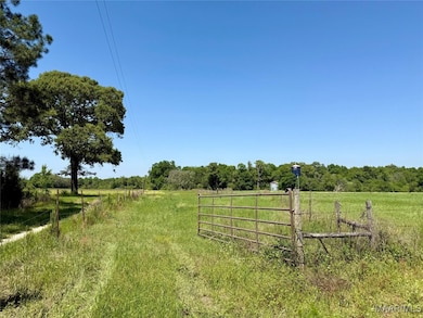 11.25 Acres Huskey Rd, Dothan, AL 36303 - photo 6