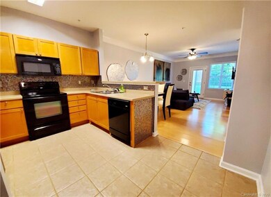 612 Appeldoorn Cir unit 612, Asheville, NC 28803 - photo 6