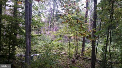 0 N Anna Dr unit 1004566320, Louisa, VA 23093 - photo 5