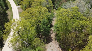 0 Menominee Shores Dr unit 50309184, Wausaukee, WI 54177 - photo 4