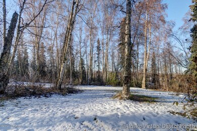 Viewtoward the city thru the trees