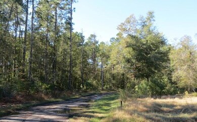 274 Airport Dr, Moncks Corner, SC 29461 - photo 3