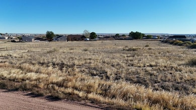 356 S Tanager Ct, Pueblo West, CO 81007 - photo 3