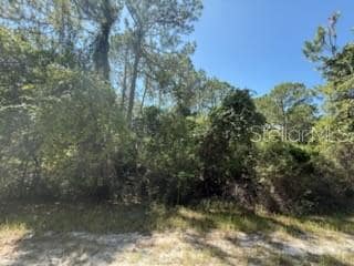 337 Palm Way, Georgetown Cove, FL 32139 - photo 2
