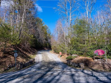 Lot 56 Big Branch Rd unit 56A, Brevard, NC 28712 - photo 4