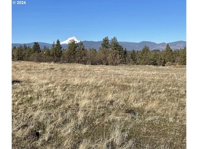 unlisted-address, Wamic, OR 97063 - photo 2