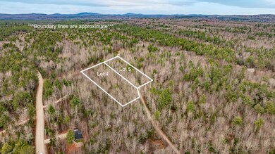 M10L29A4&5 Miller Ln, Surry, ME 04684 - photo 2